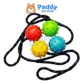 Đồ Chơi Cho Chó Banh Gai Cao Su Đính Dây Thừng Tpet - Paddy Pet Shop